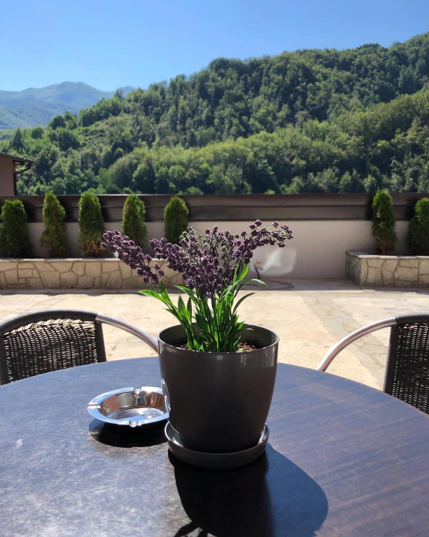 Aphrodite Hills Apartments-Stara Planina Crni Vrh Dış mekan fotoğraf