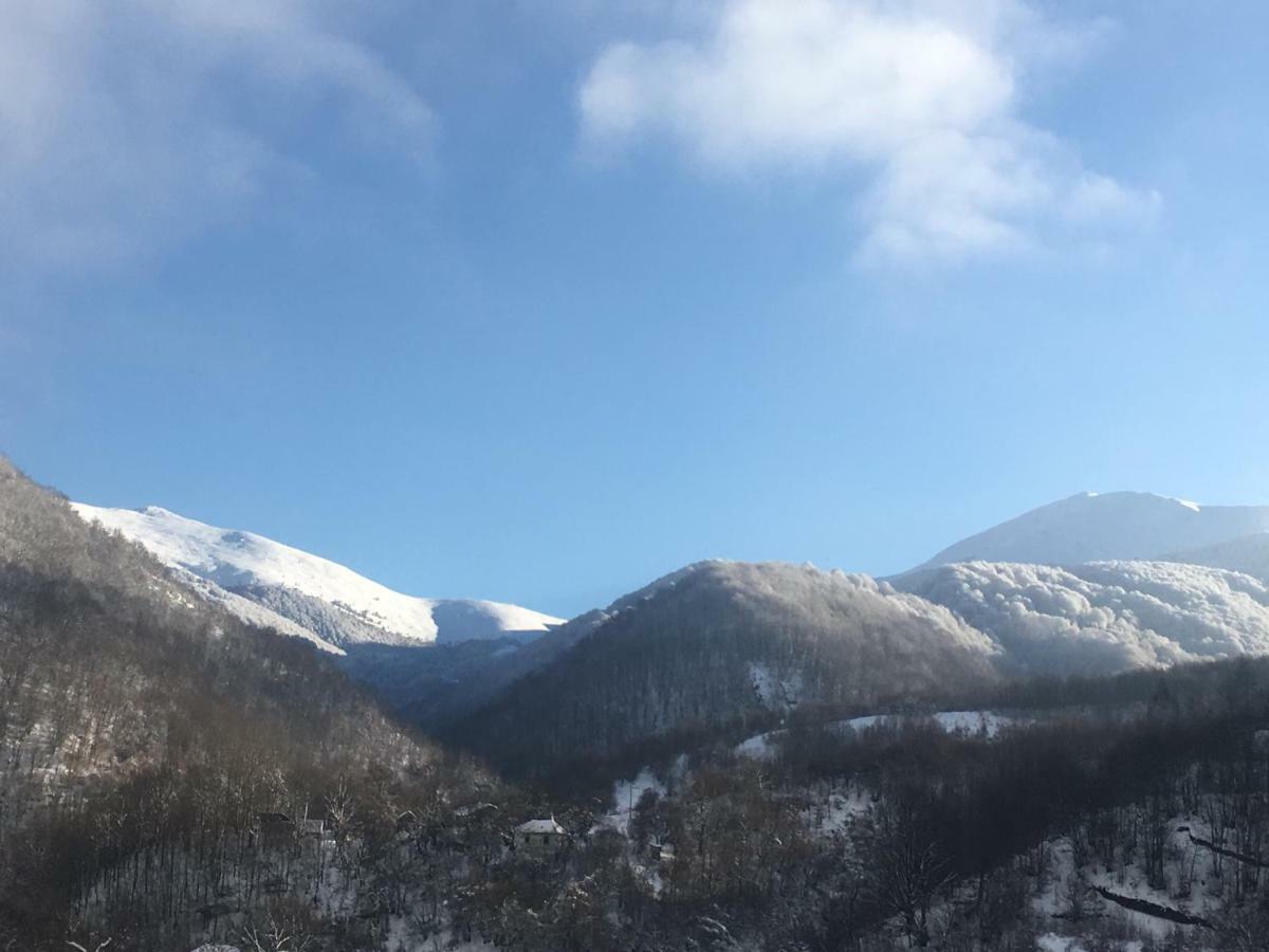 Aphrodite Hills Apartments-Stara Planina Crni Vrh Dış mekan fotoğraf